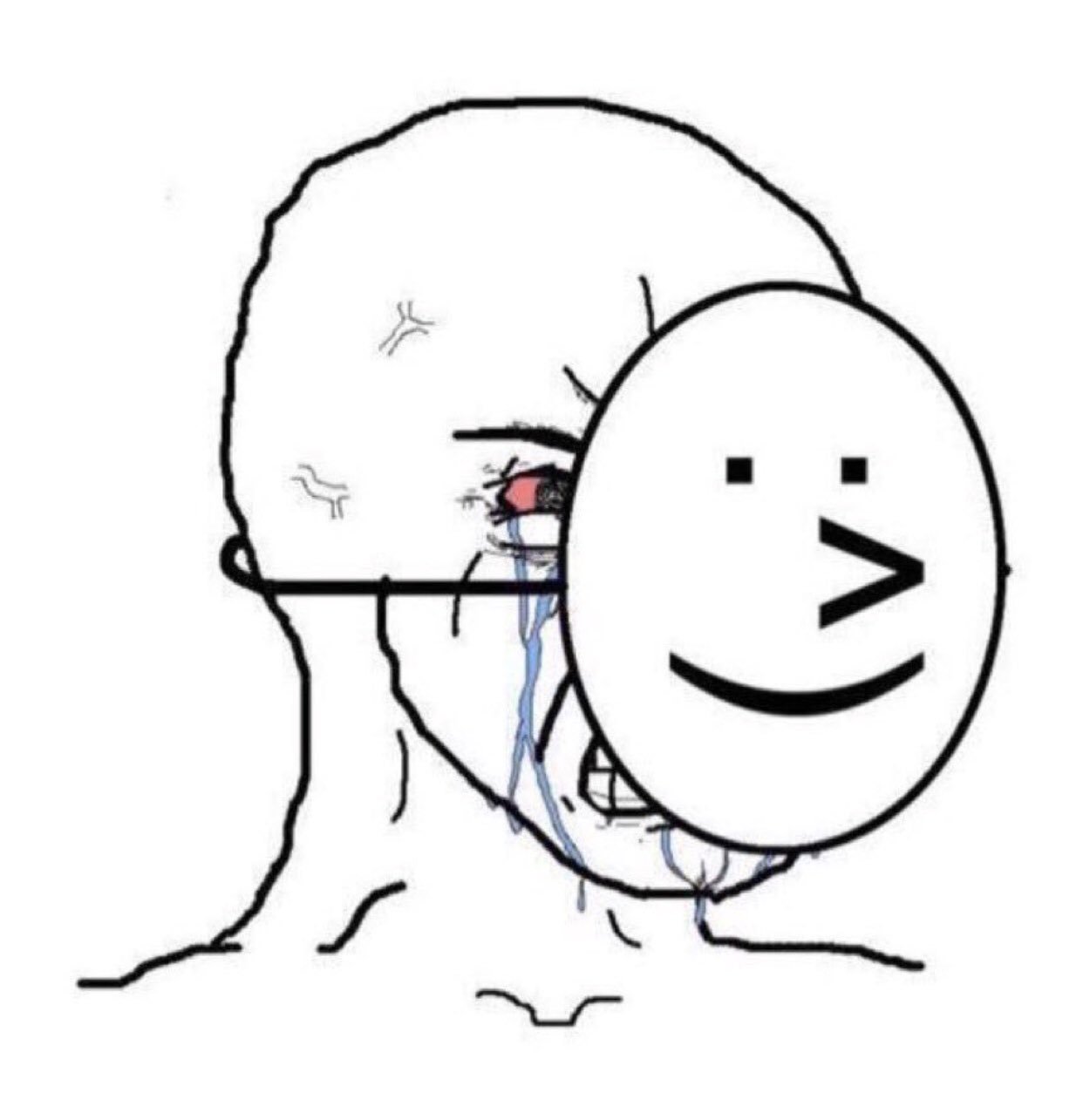 hiding the pain in public Meme Template